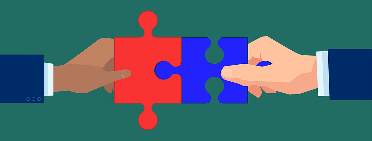 Bipartisan puzzle
